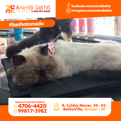 Animal Betha