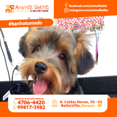 Animal Betha