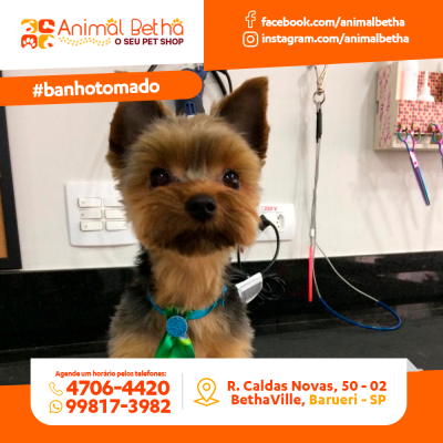 Animal Betha
